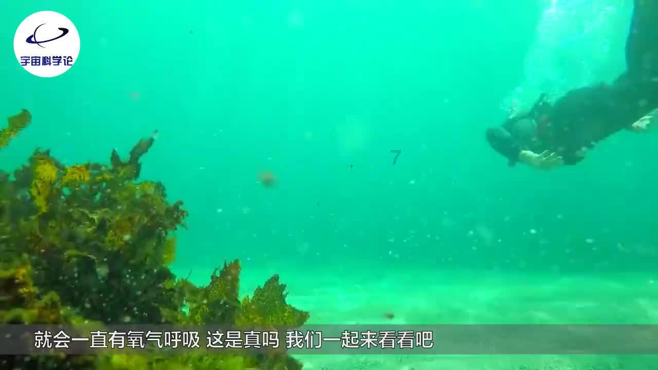 芭比滑稽服装